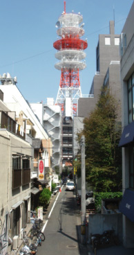 kaninotori.jpg kaninotori.jpg