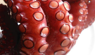 tako.jpg
