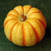 kabocha.jpg